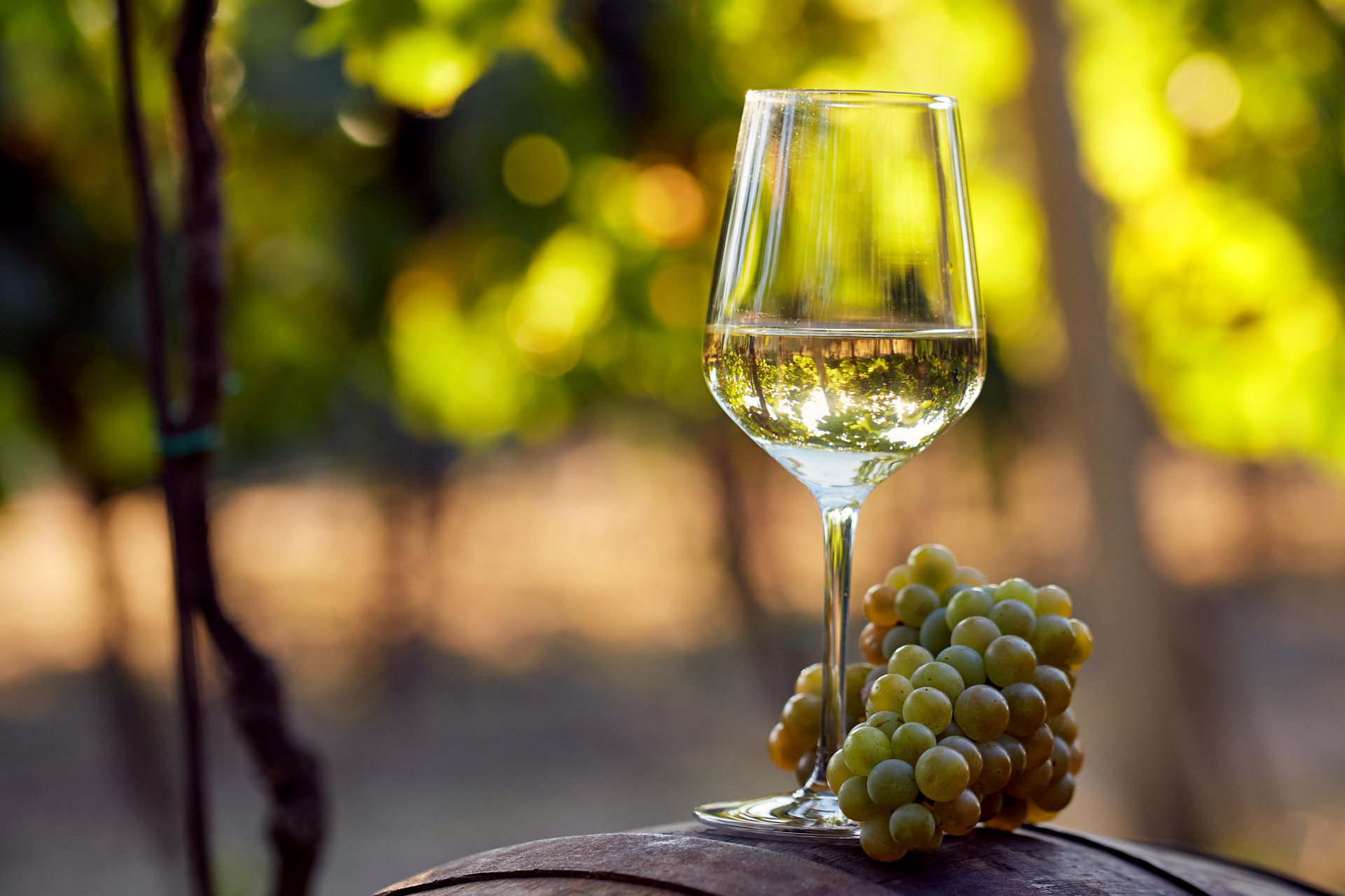 Chateau d'Yquem 2015